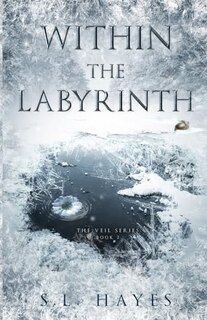 Couverture_Within the Labyrinth