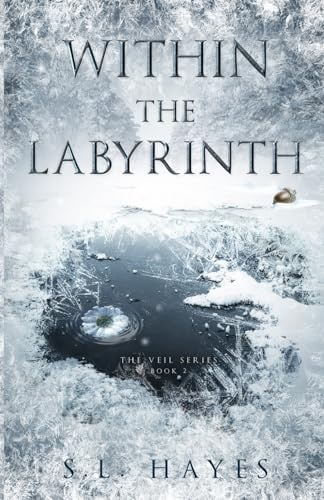 Couverture_Within the Labyrinth