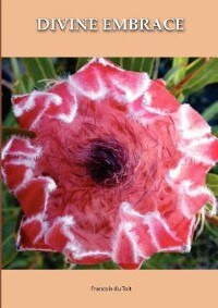 Couverture_DIVINE EMBRACE New, 30 Chapter, 458page Revised Edition