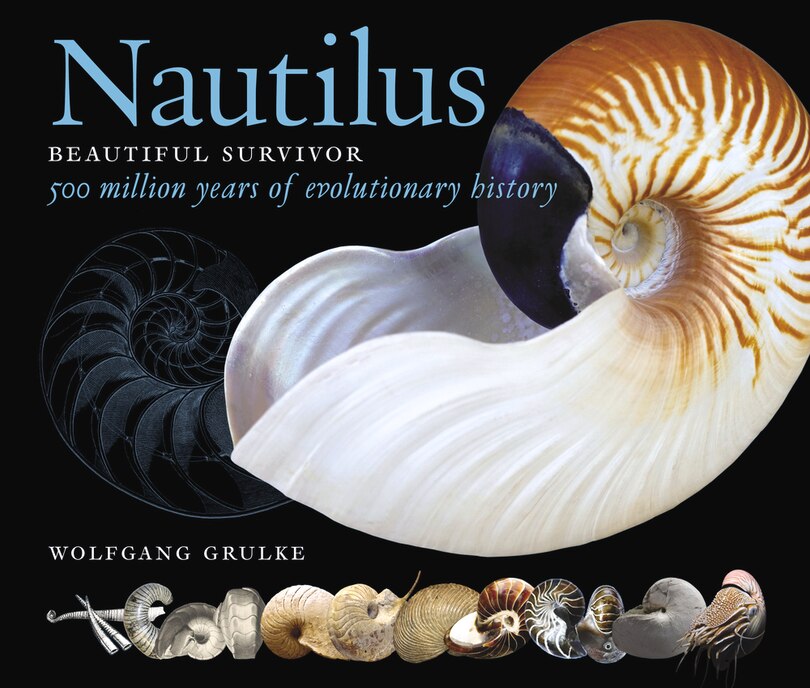 Nautilus: Beautiful Survivor — 500 Million Years of Evolutionary History