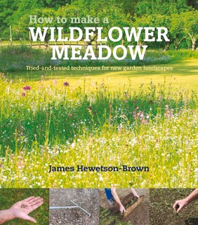 How To Make A Wildflower Meadow: Tried-and-tested Techniques For New Garden Landscapes