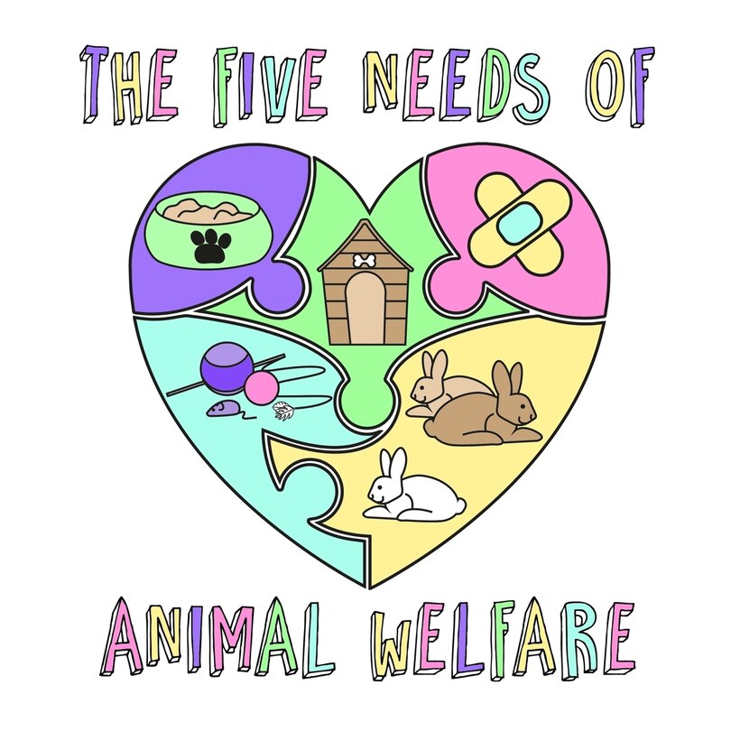 Front cover_The Five Needs of Animal Welfare
