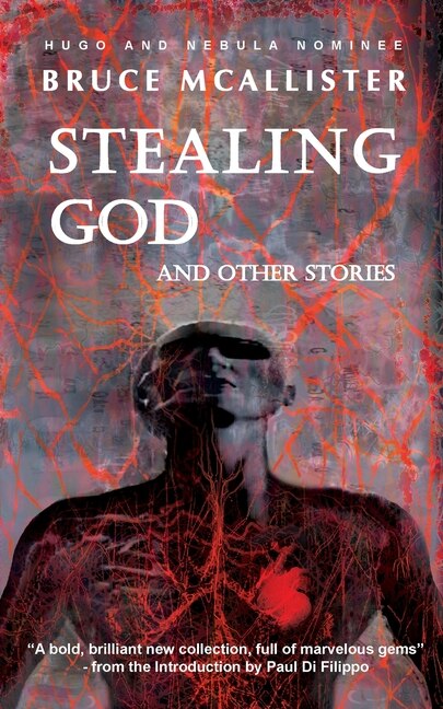 Front cover_Stealing God And Other Stories