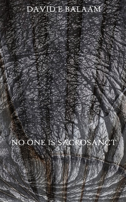 Front cover_No One Is Sacrosanct