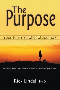 The Purpose: Your Soul's Emotional Journey: Learning how to experience life through a different lens