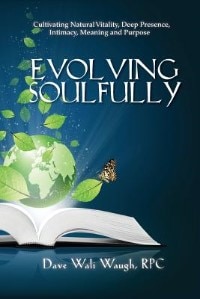 Front cover_Evolving Soulfully