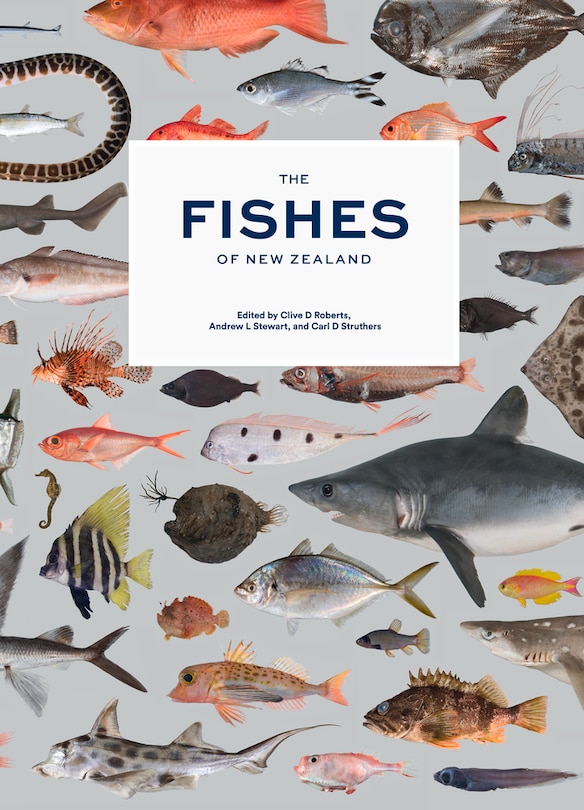 The Fishes of New Zealand: A Comprehensive Guide