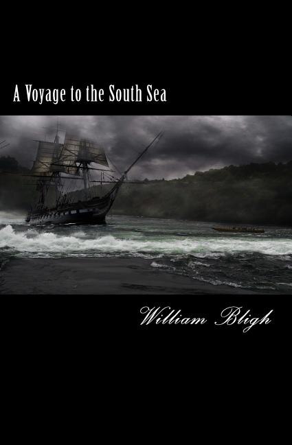 A Voyage to the South Sea