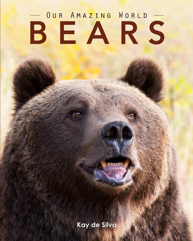 Front cover_Bears