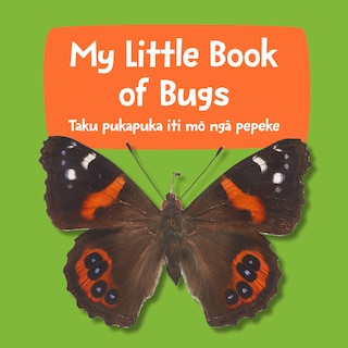 Front cover_My Little Book Of Bugs