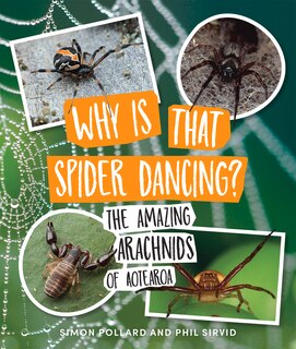 Why Is That Spider Dancing?: The Amazing Arachnids Of Aotearoa