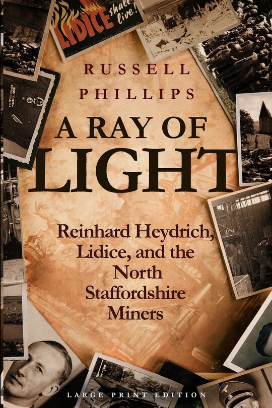 Couverture_A Ray of Light (Large Print)