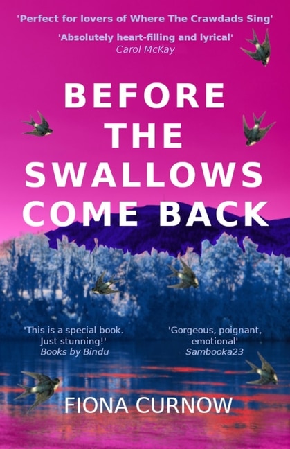 Front cover_Before the Swallows Come Back