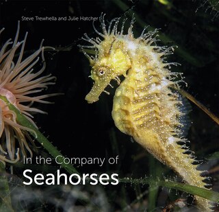 Couverture_In The Company Of Seahorses