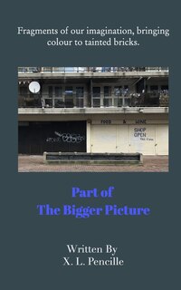 Couverture_Part of The Bigger PIcture