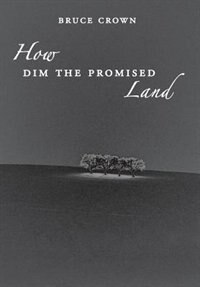 Front cover_How Dim the Promised Land
