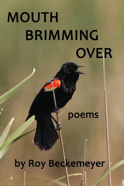 Front cover_Mouth Brimming Over