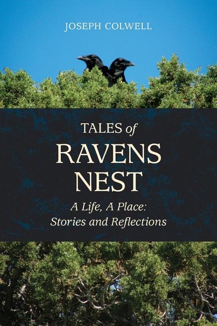 Couverture_Tales of Ravens Nest