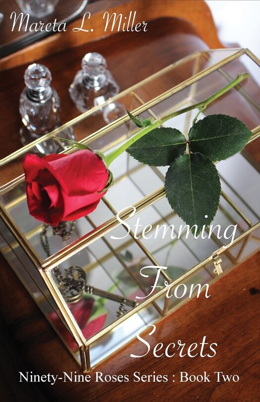 Couverture_Stemming From Secrets