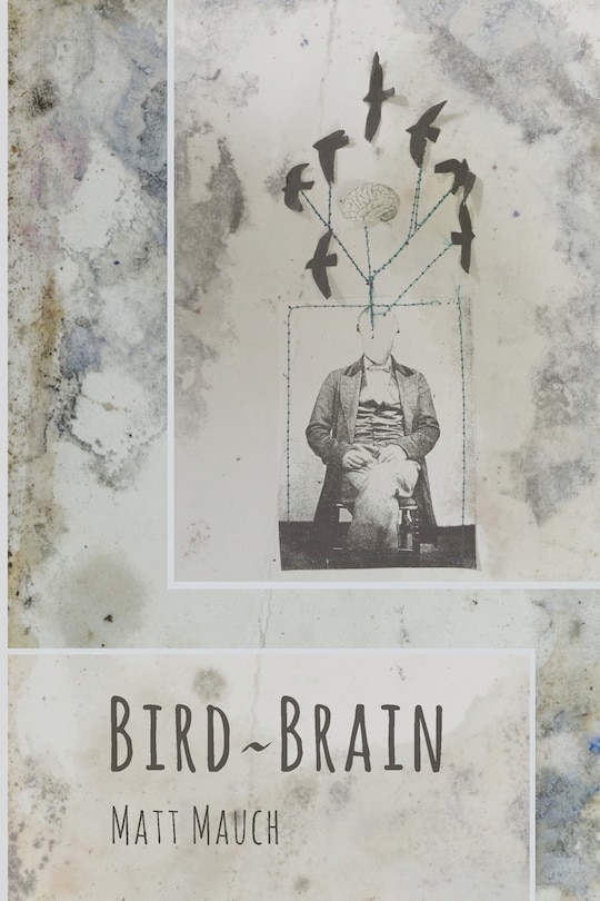 Front cover_Bird Brain