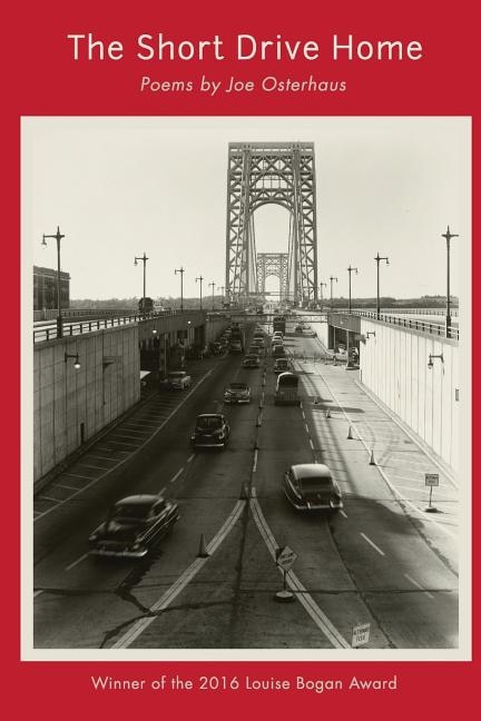 Couverture_The Short Drive Home