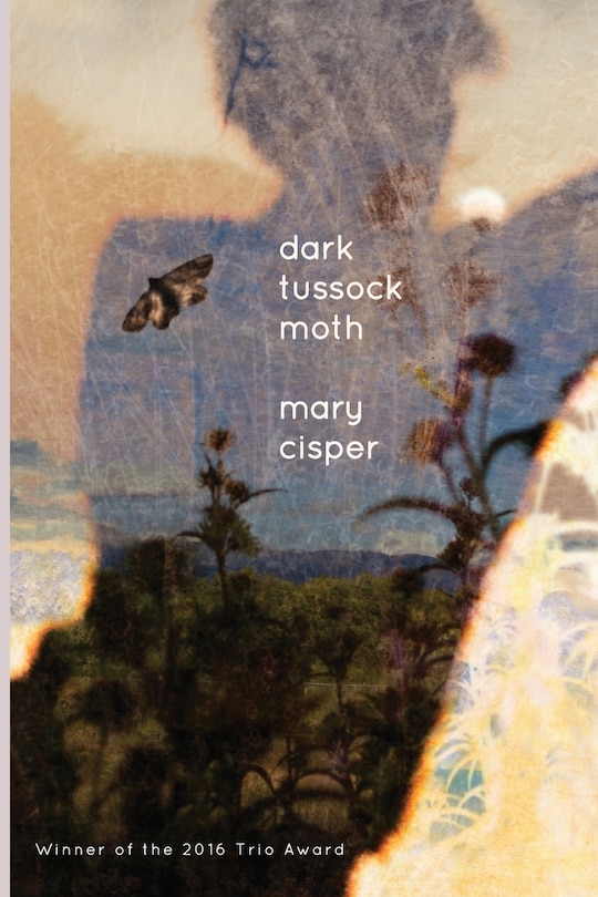 Front cover_Dark Tussock Moth