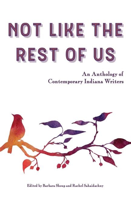 Couverture_Not Like the Rest of Us