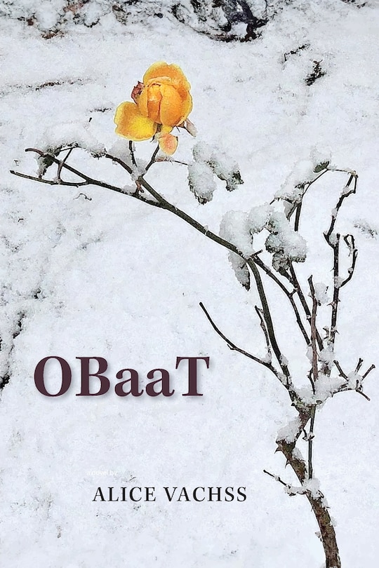 Front cover_OBaaT - A Novel
