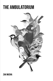 Front cover_The Ambulatorium