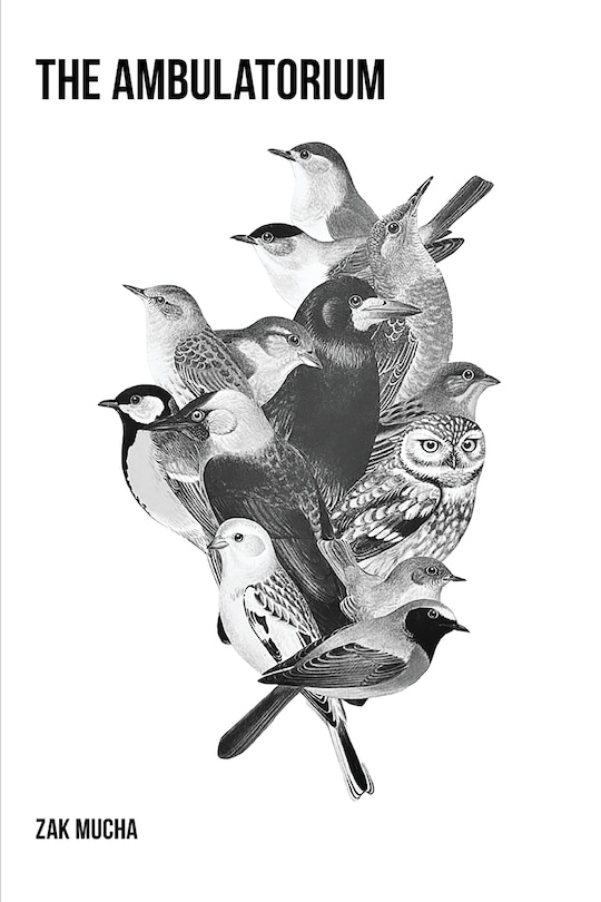 Front cover_The Ambulatorium