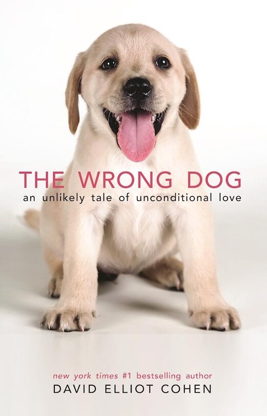 Couverture_The Wrong Dog