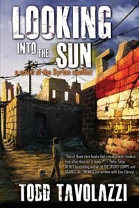 Front cover_Looking into the Sun