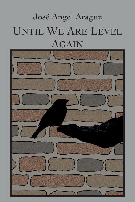 Couverture_Until We Are Level Again