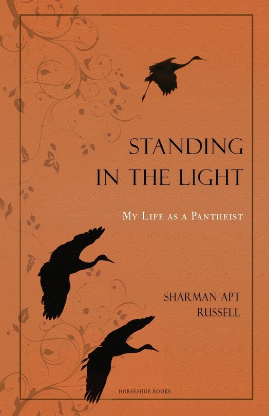 Couverture_Standing In The Light