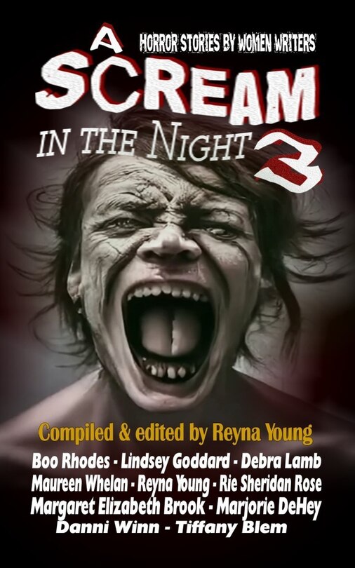 Front cover_A Scream in the Night 3