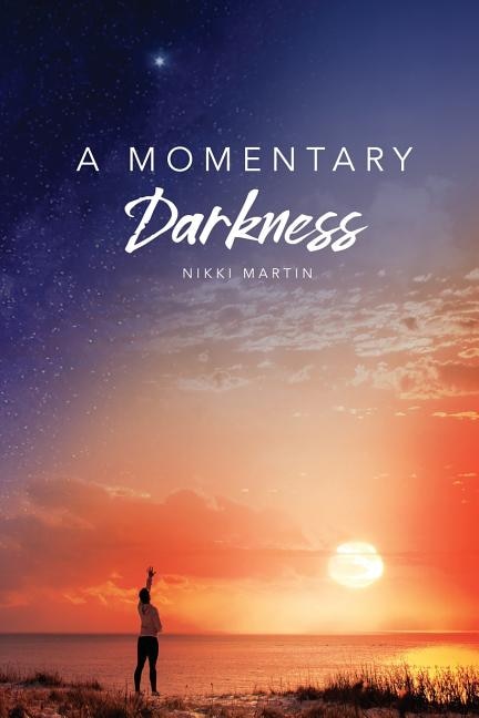 A Momentary Darkness image number 0
