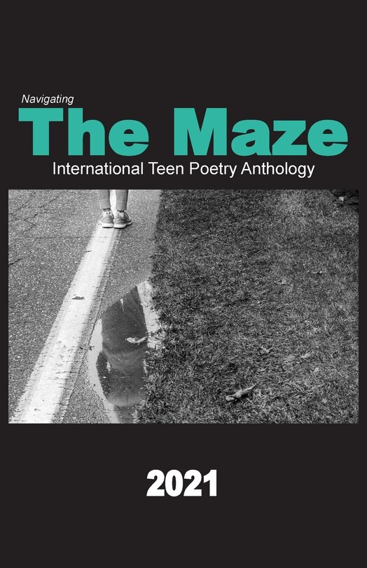 Couverture_Navigating the Maze 2021
