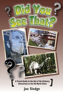 Front cover_Did You See That?