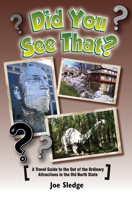 Front cover_Did You See That?