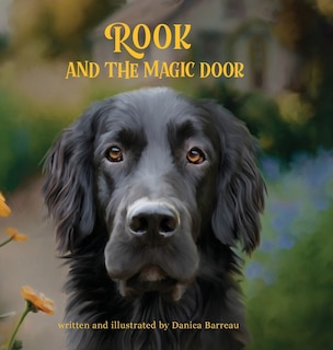 Front cover_Rook and the Magic Door