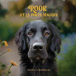 Couverture_Rook et La Porte Magique (French Edition)