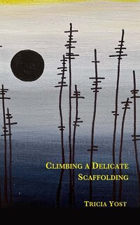 Front cover_Climbing a Delicate Scaffolding