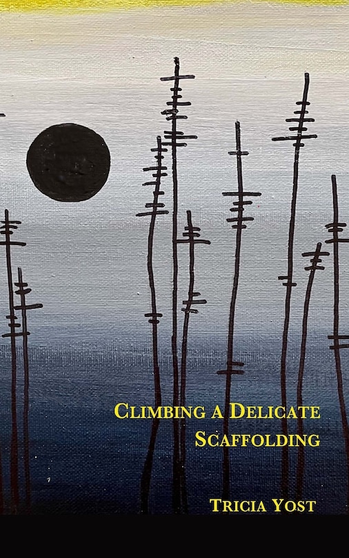 Front cover_Climbing a Delicate Scaffolding