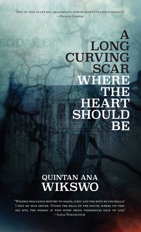 Couverture_A Long Curving Scar Where The Heart Should Be