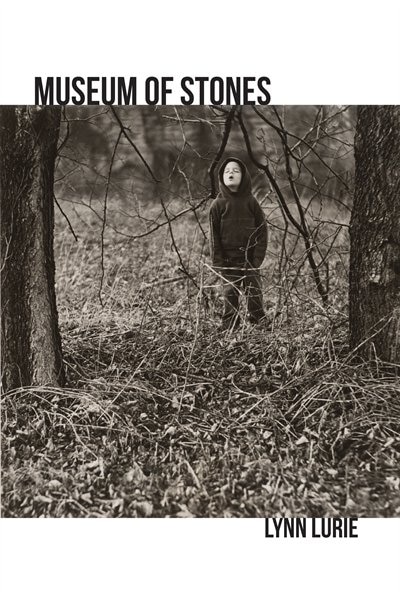 Front cover_Museum Of Stones