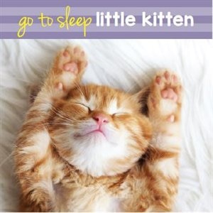 Front cover_GO TO SLEEP KITTEN