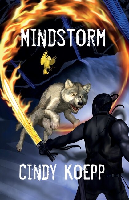 Front cover_Mindstorm
