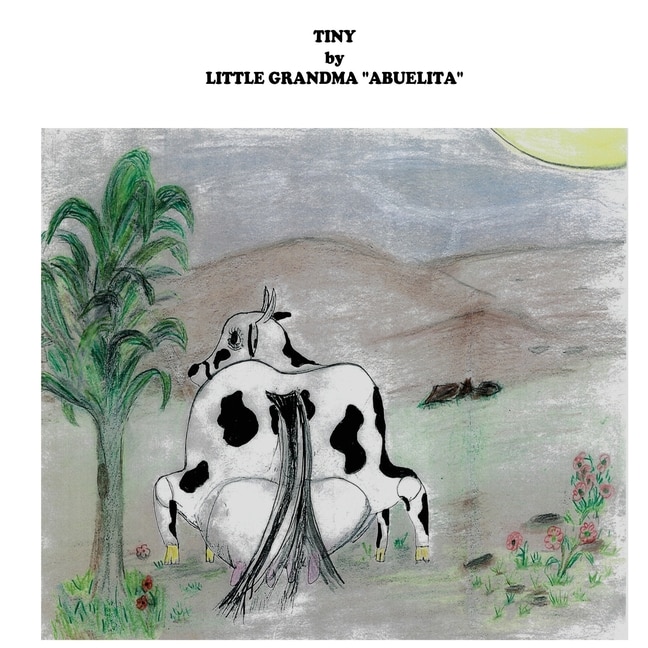 Front cover_Tiny
