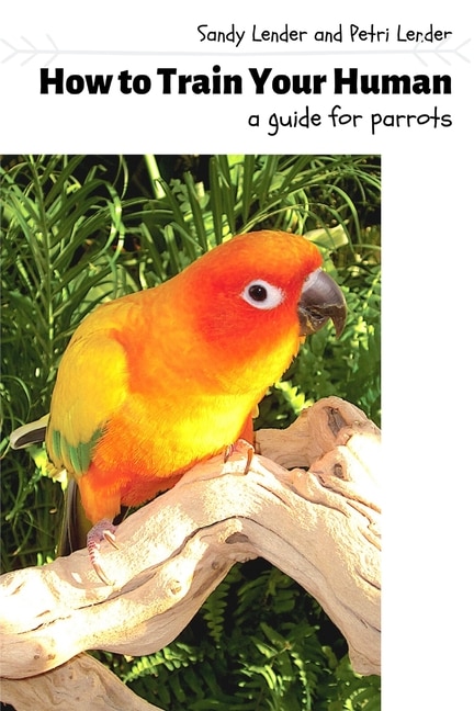 Front cover_How to Train Your Human