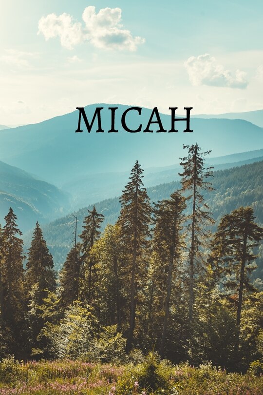 Front cover_Micah Bible Journal